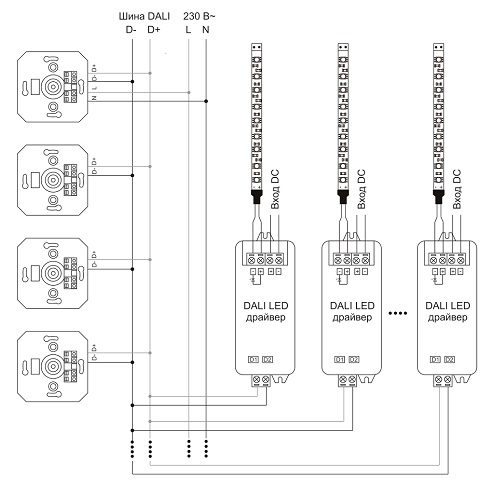  Схема подключения диммера поворотного DALI (Broadcast) 125мА стекло белый 